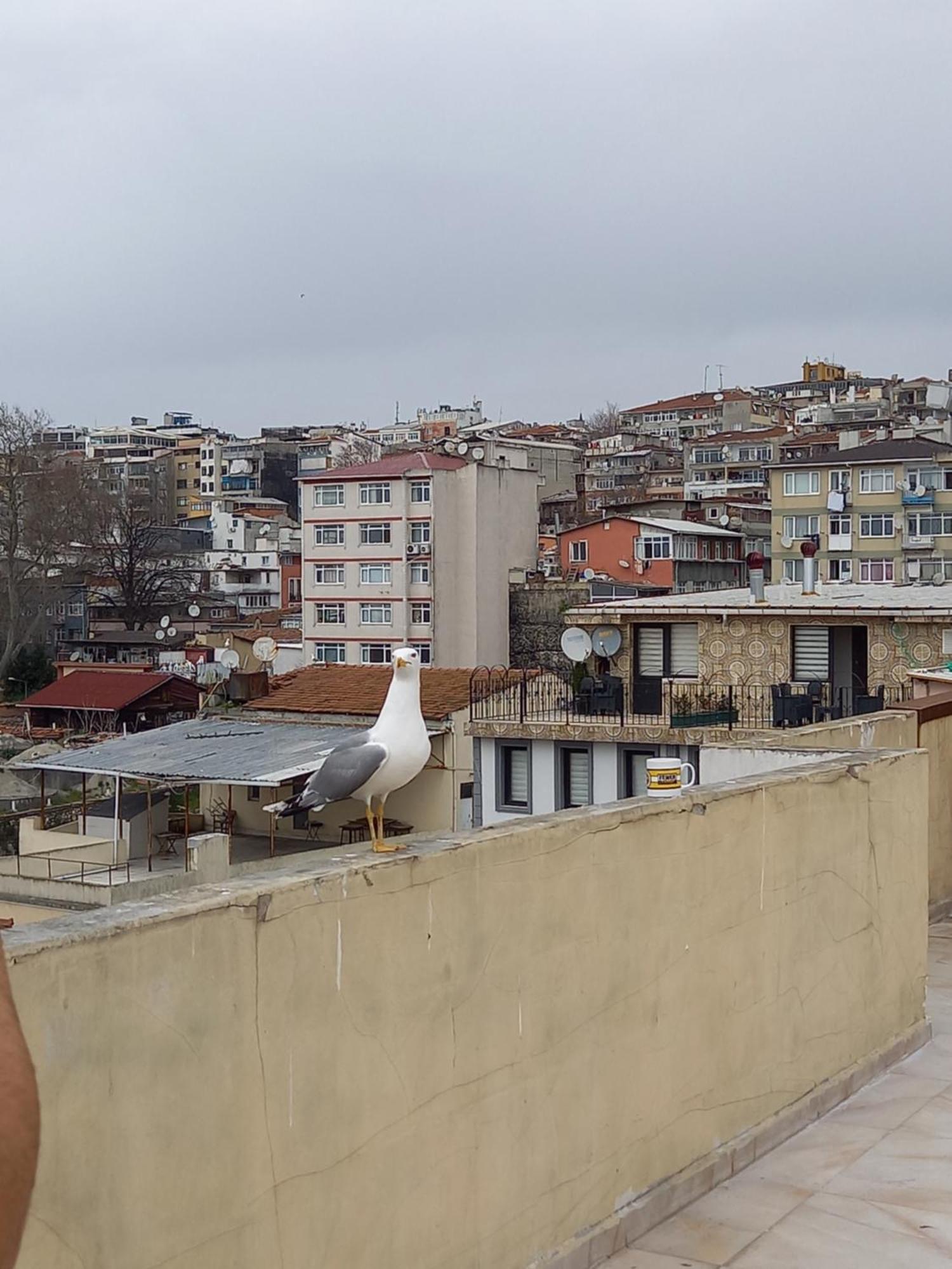 Avsin Residence Istanbul Bagian luar foto